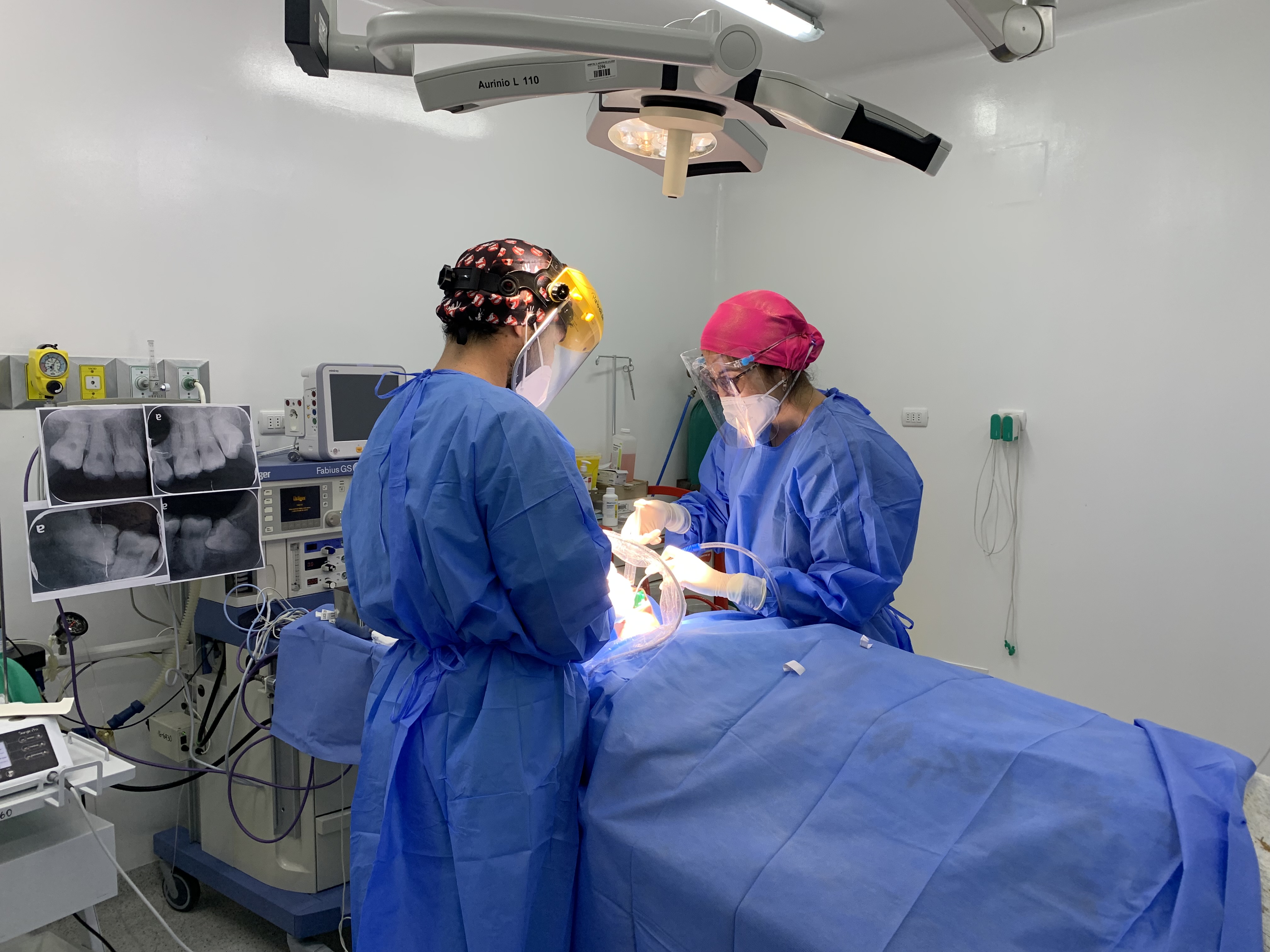 Imagen foto_00000010