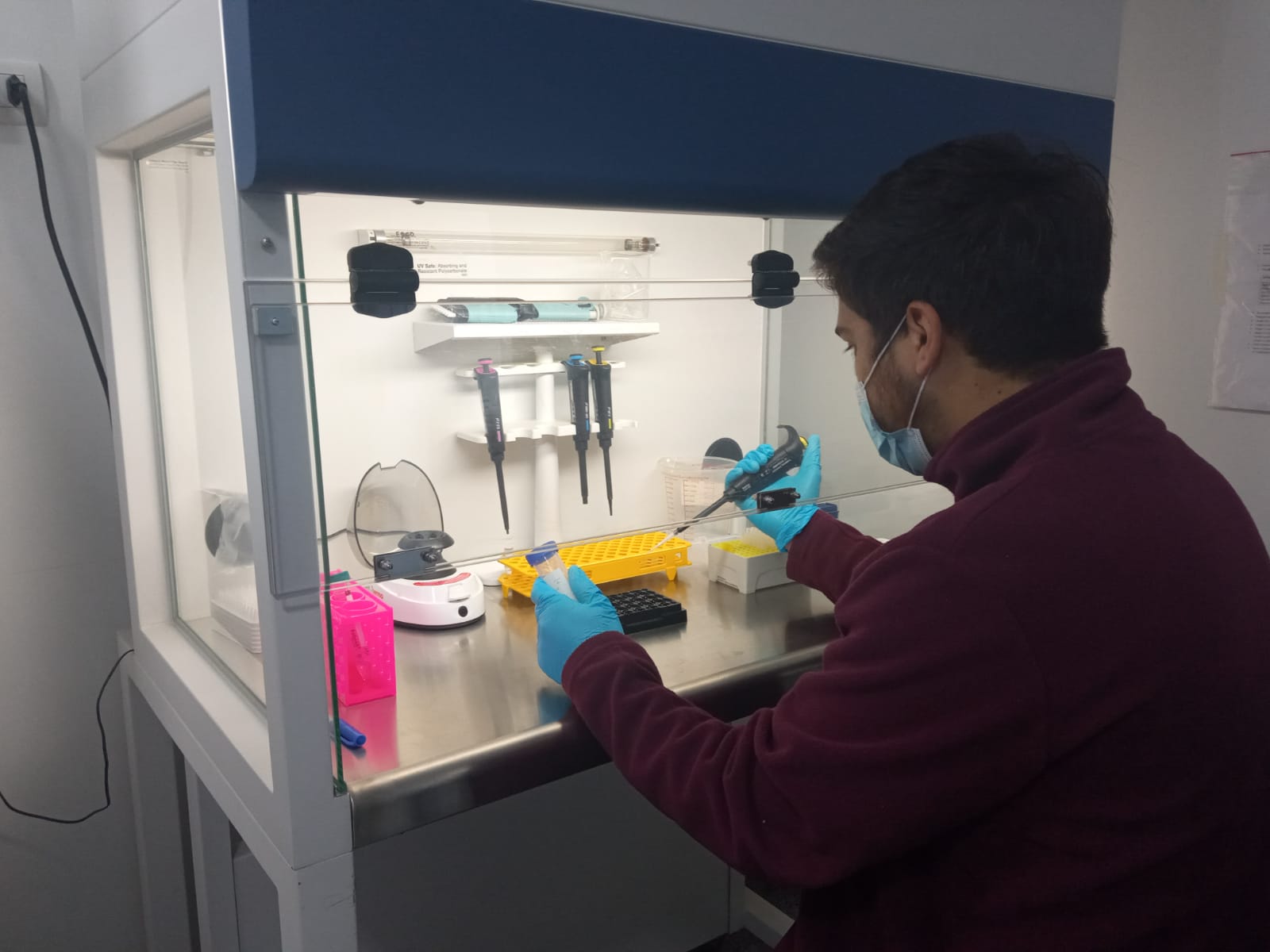 Imagen foto_00000008